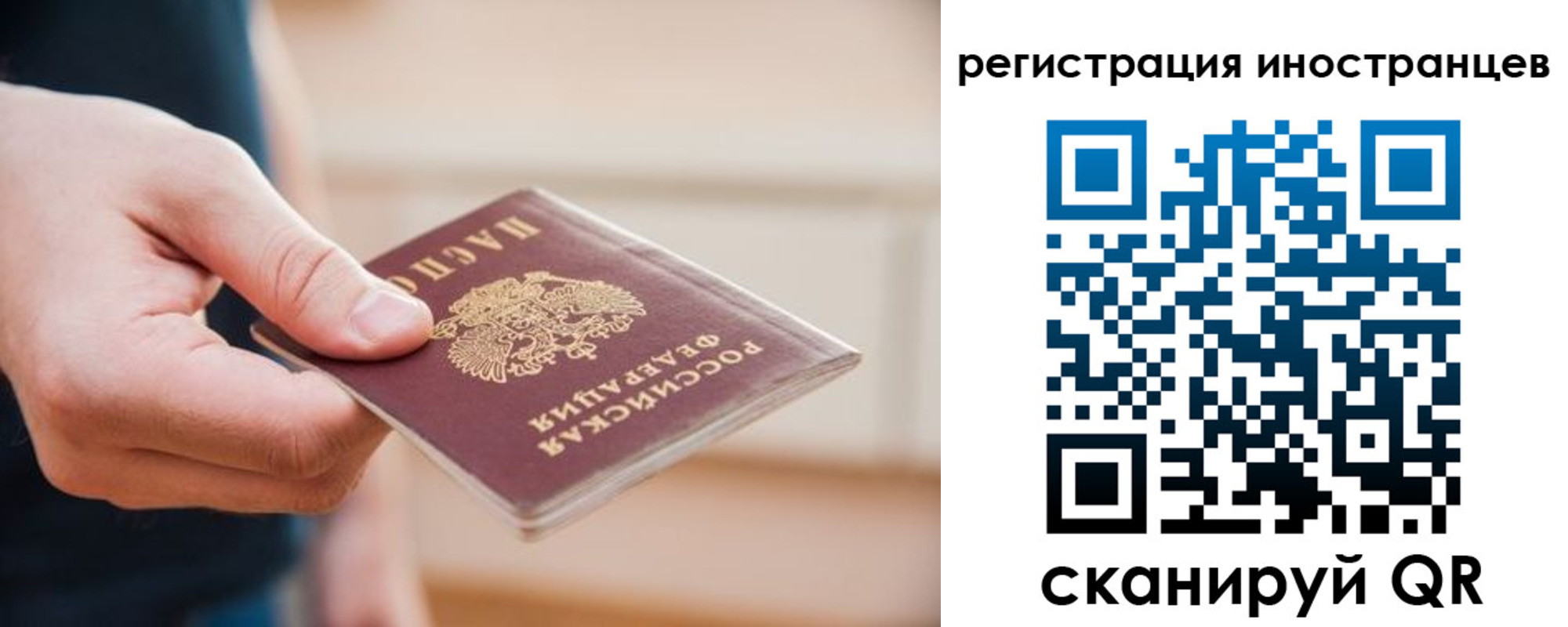 прописка гарантия в Тайге